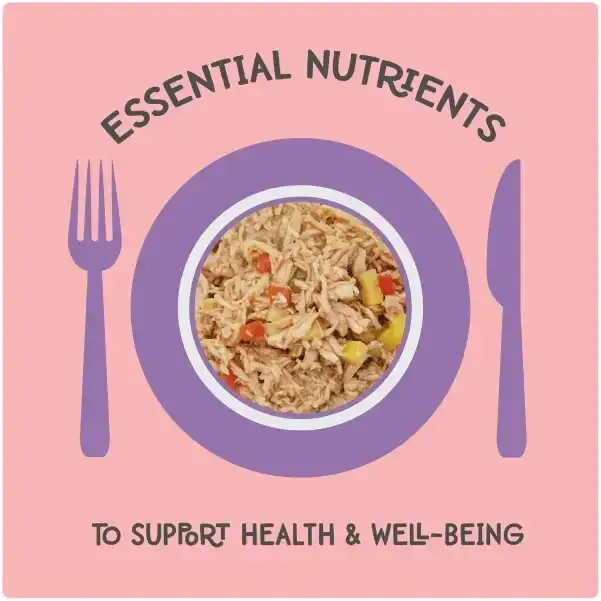 Love, Nala Chicken Pate with Carrot & Pumpkin Recipe in Broth Cat Food 2.8oz Love Nala