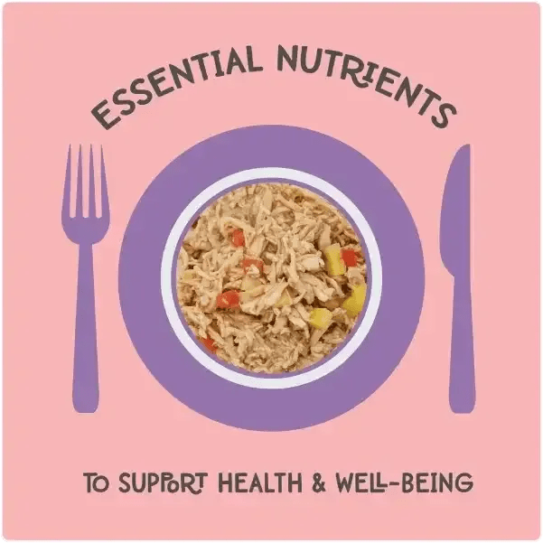 Love, Nala Chicken Pate with Carrot & Pumpkin Recipe in Broth Cat Food 2.8oz - Talis Us