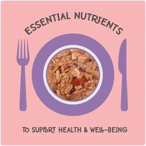 Love, Nala Flaked Salmon Recipe in Broth Cat Food 2.8oz - Talis Us