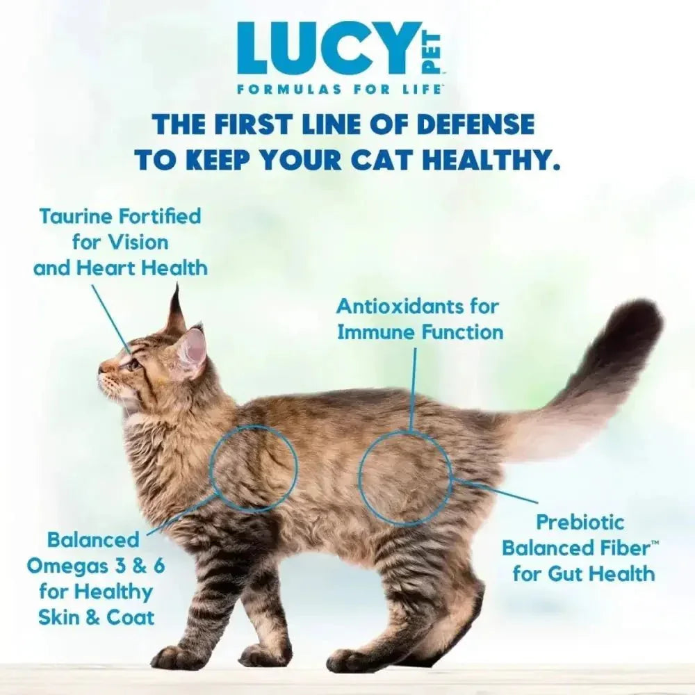 Lucy Pet Products Chicken, Brown Rice & Pumpkin Limited Ingredient Diet Cat Food - Talis Us