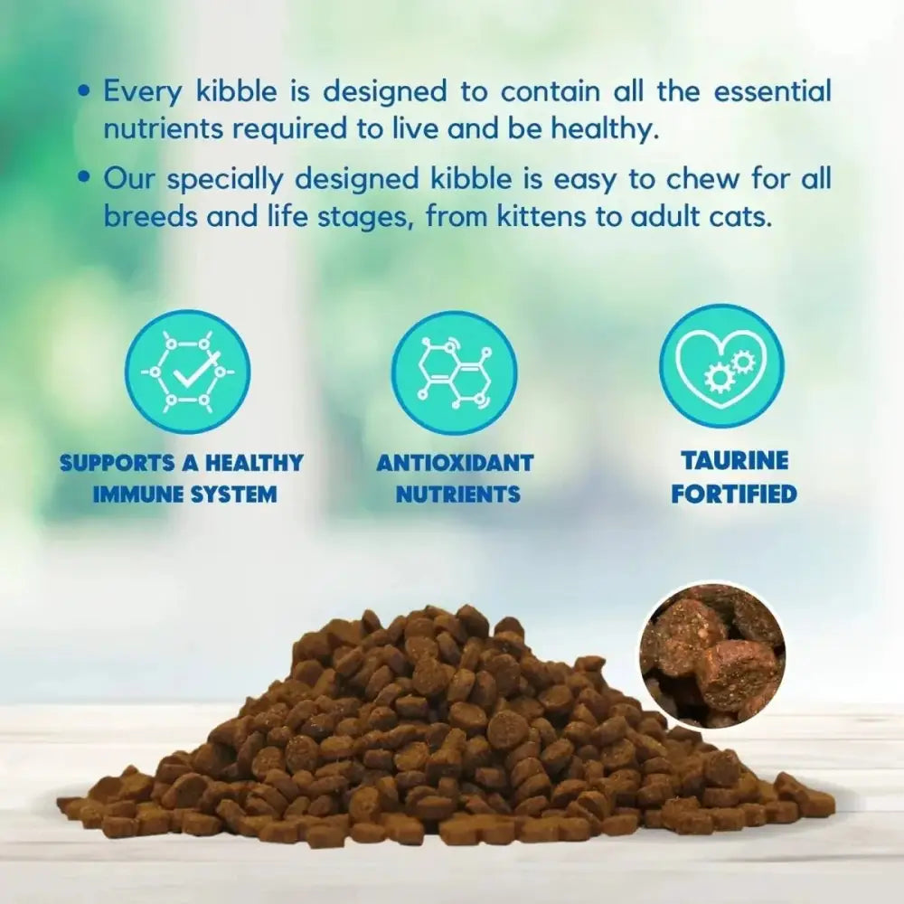 Lucy Pet Products Chicken, Brown Rice & Pumpkin Limited Ingredient Diet Cat Food - Talis Us