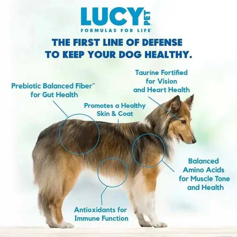 Lucy Pet Products Formula for Life L.I.D. Dry Dog Food Duck, Pumpkin & Quinoa - Talis Us