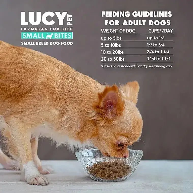 Lucy Pet Products Formula for Life L.I.D. Dry Dog Food Salmon, Pumpkin & Quinoa - Talis Us