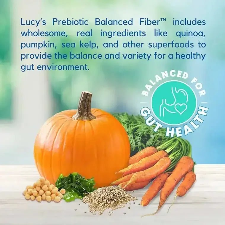 Lucy Pet Products Formula for Life L.I.D. Dry Dog Food Salmon, Pumpkin & Quinoa - Talis Us