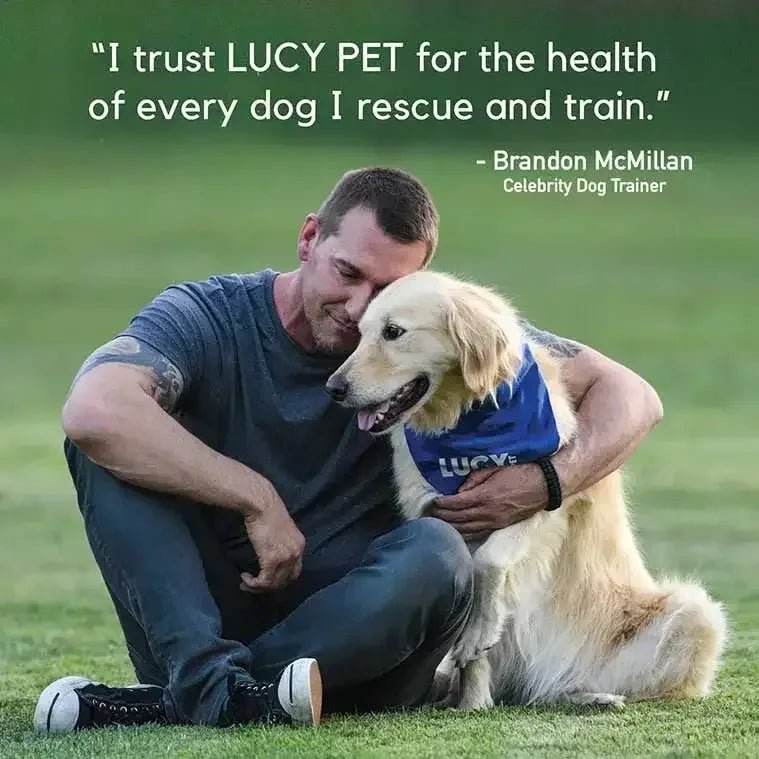 Lucy Pet Products Formula for Life L.I.D. Dry Dog Food Salmon, Pumpkin & Quinoa - Talis Us