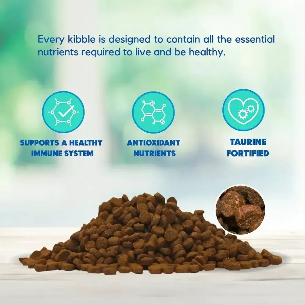 Lucy Pet Products Formulas for Life Dry Cat Food Salmon, Pumpkin & Quinoa - Talis Us
