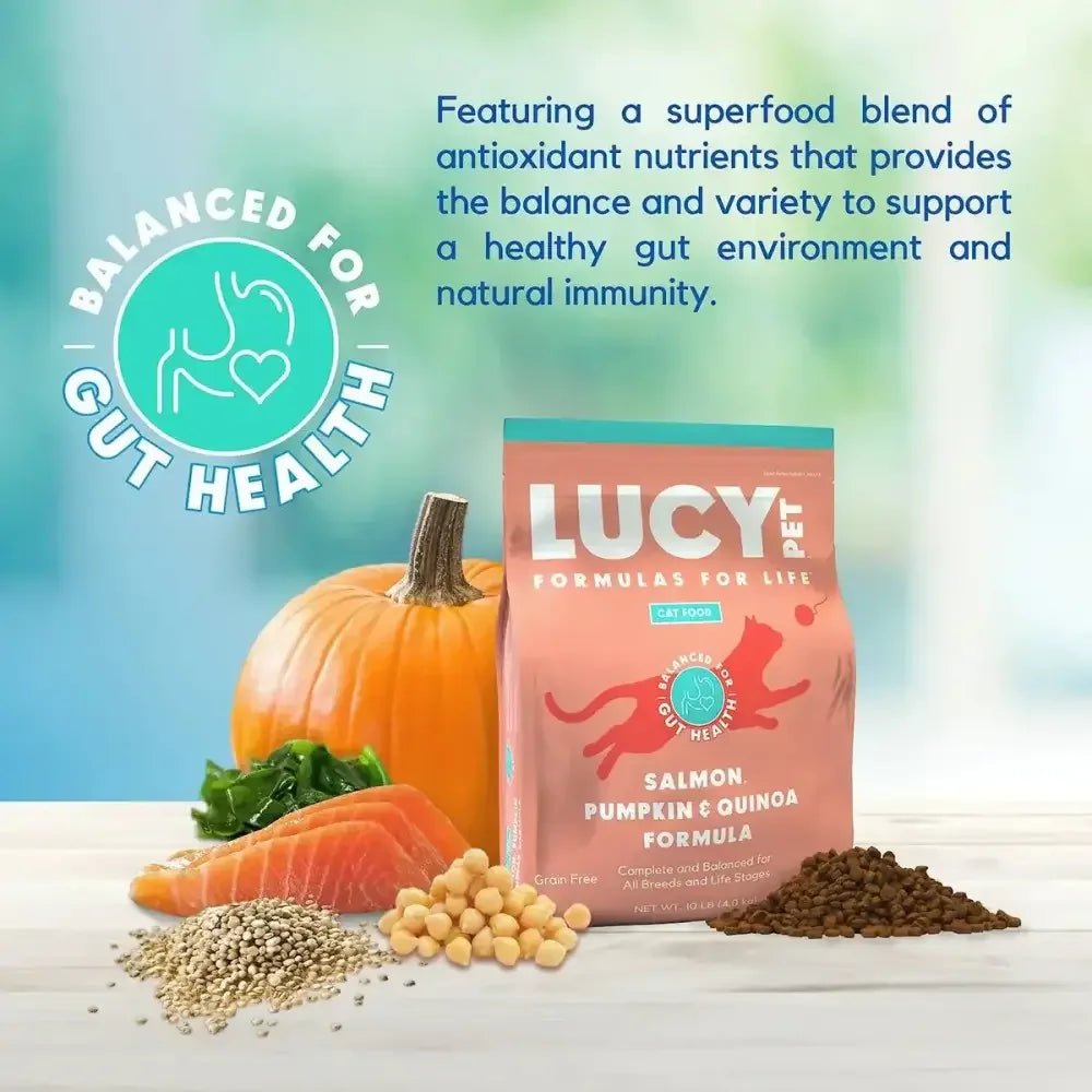Lucy Pet Products Formulas for Life Dry Cat Food Salmon, Pumpkin & Quinoa - Talis Us