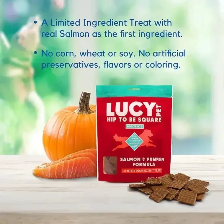 Lucy Pet Products Hip to Be Square Limited Ingredient Dog Treats - Talis Us