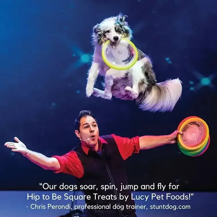 Lucy Pet Products Hip to Be Square Limited Ingredient Dog Treats - Talis Us
