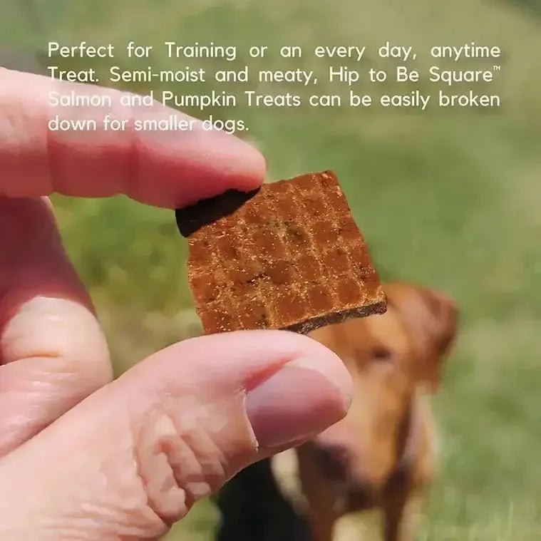 Lucy Pet Products Hip to Be Square Limited Ingredient Dog Treats - Talis Us