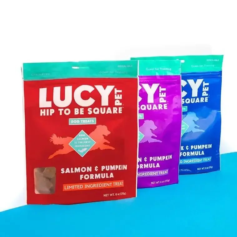 Lucy Pet Products Hip to Be Square Limited Ingredient Dog Treats - Talis Us