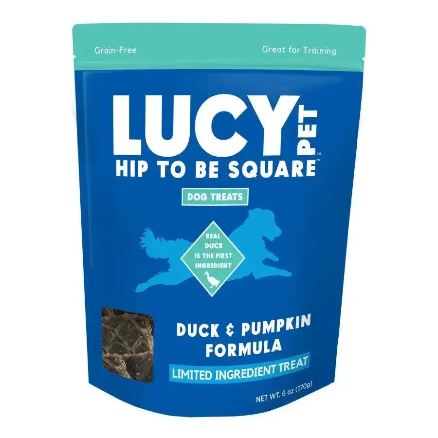 Lucy Pet Products Hip to Be Square Limited Ingredient Dog Treats - Talis Us