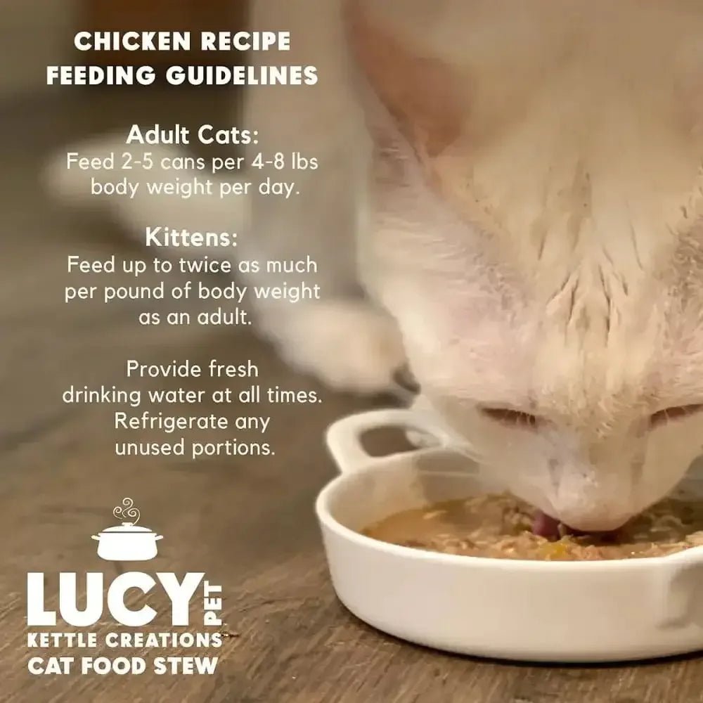 Lucy Pet Products Kettle Creations Adult Wet Cat Food 12ea/2.75 oz - Talis Us