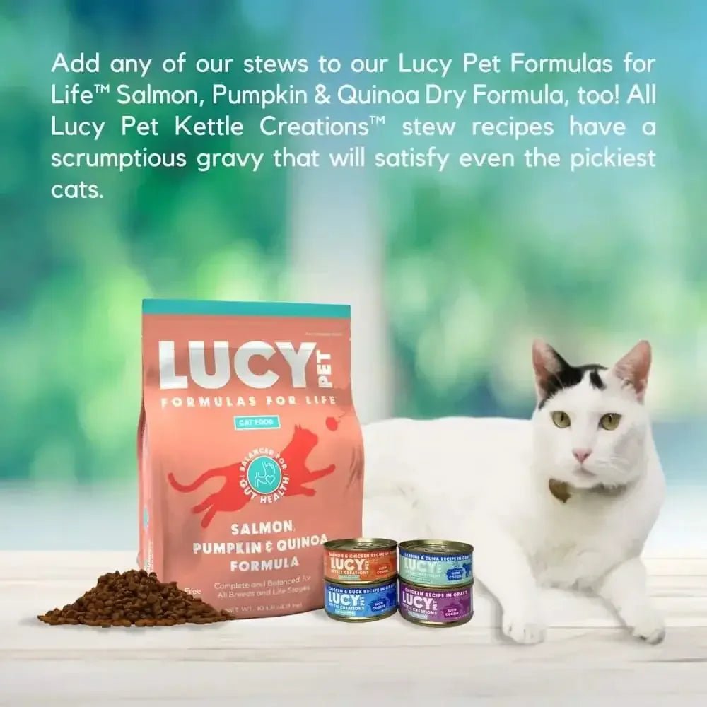 Lucy Pet Products Kettle Creations Adult Wet Cat Food 12ea/2.75 oz - Talis Us