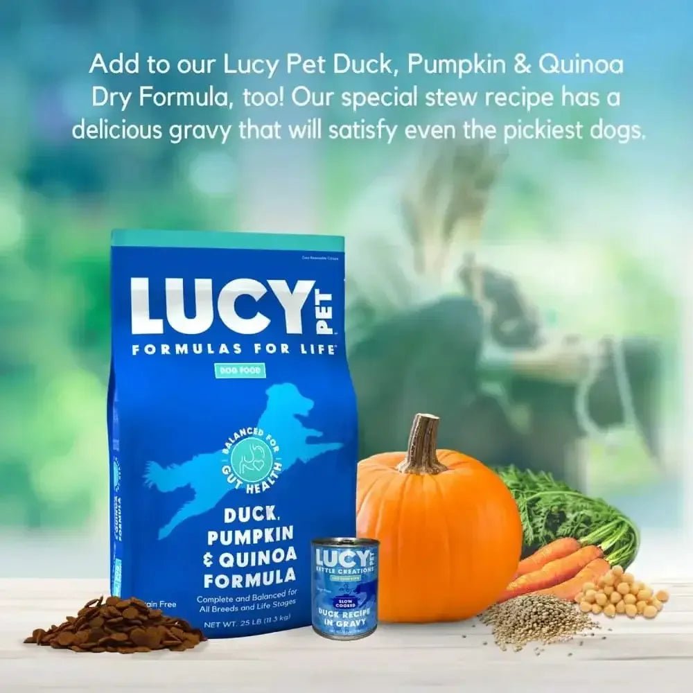 Lucy Pet Products Kettle Creations Recipe in Gravy Wet Dog Food 12ea/12.5 oz - Talis Us