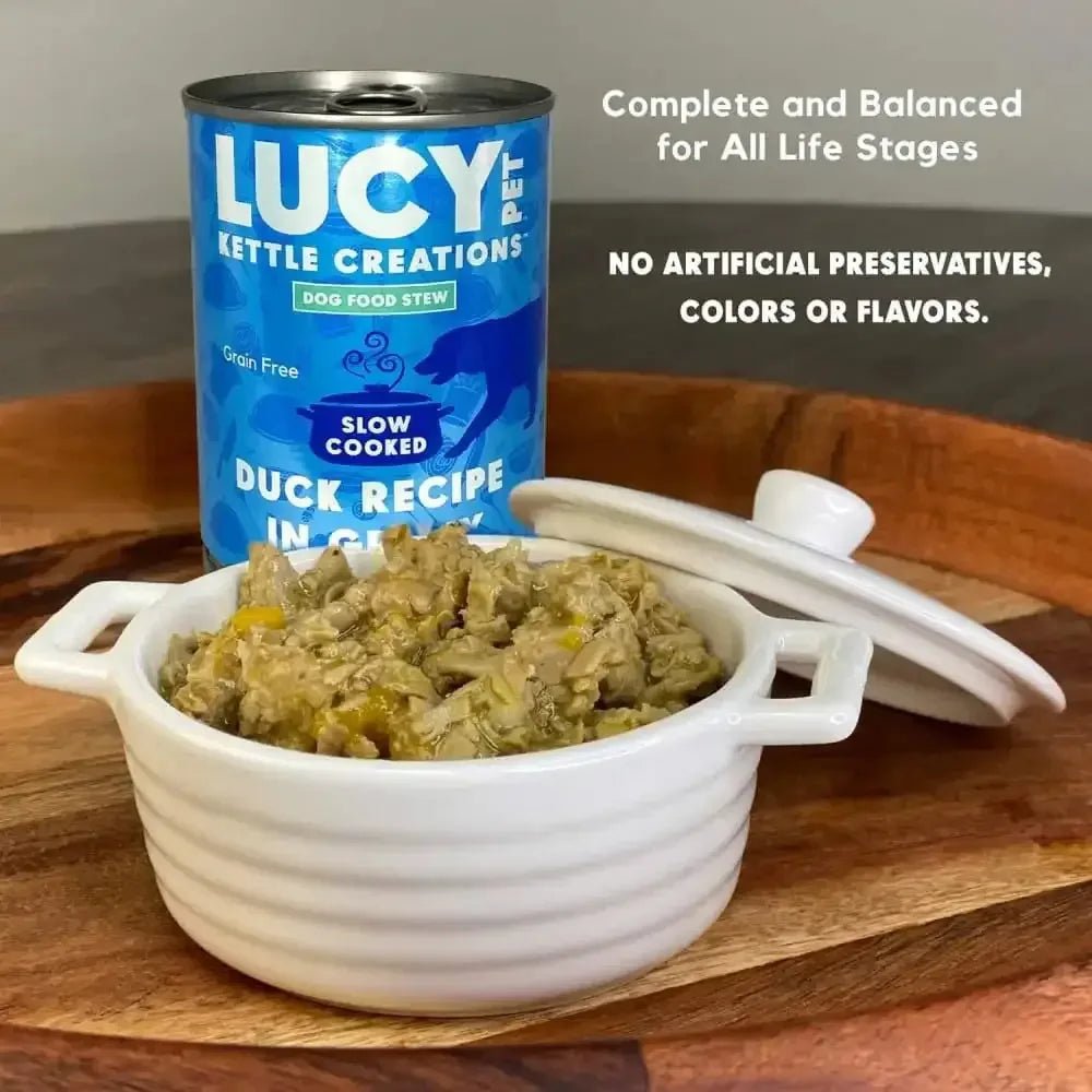 Lucy Pet Products Kettle Creations Recipe in Gravy Wet Dog Food 12ea/12.5 oz - Talis Us