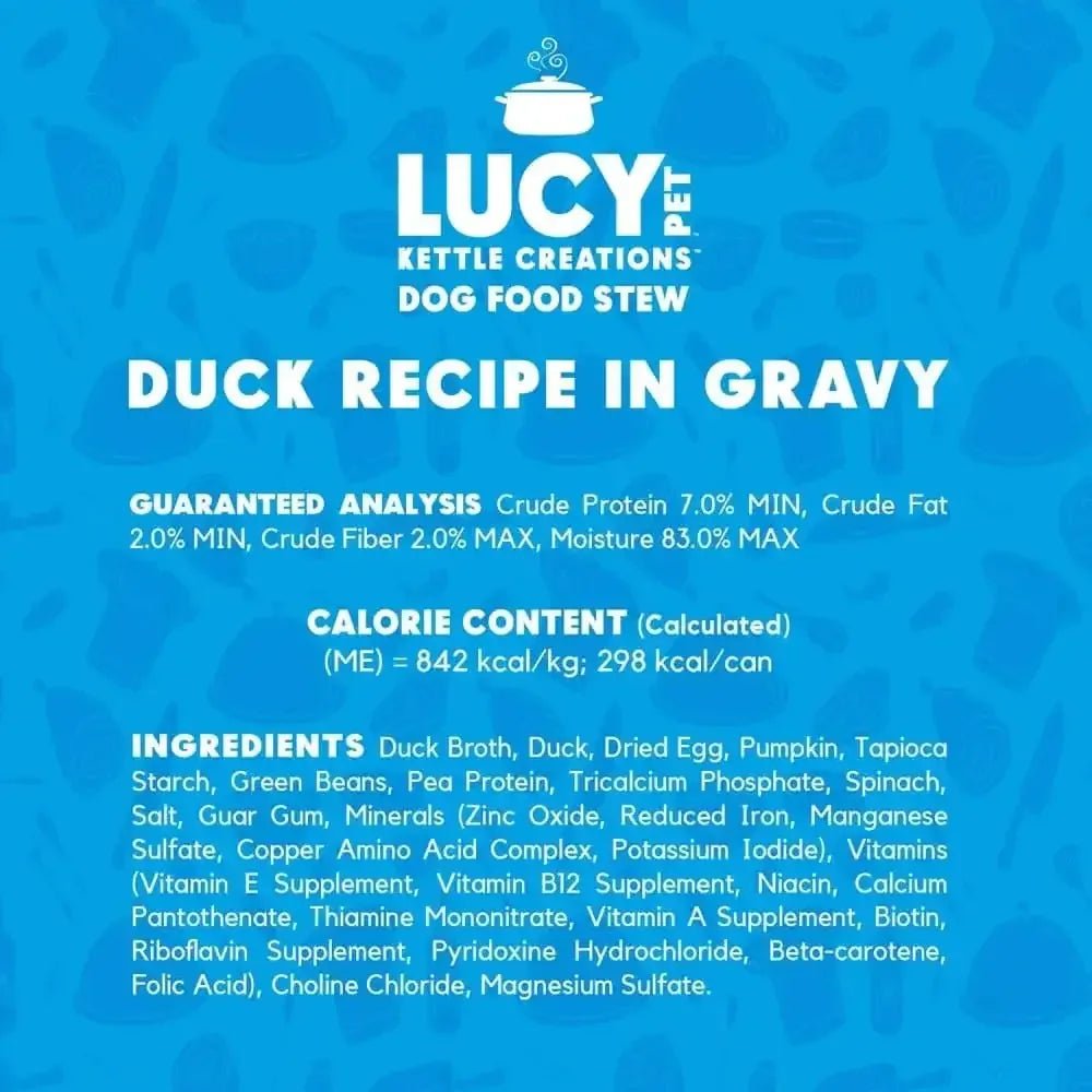 Lucy Pet Products Kettle Creations Recipe in Gravy Wet Dog Food 12ea/12.5 oz - Talis Us