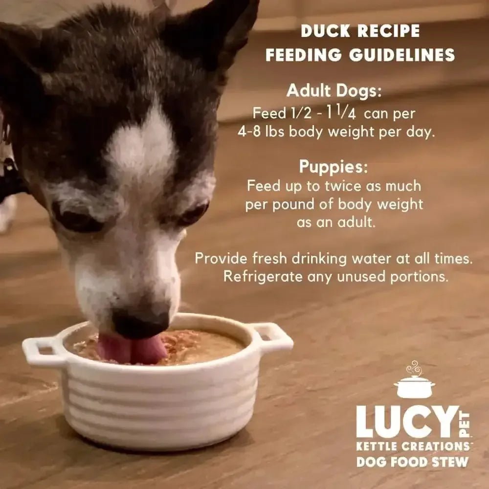 Lucy Pet Products Kettle Creations Recipe in Gravy Wet Dog Food 12ea/12.5 oz - Talis Us