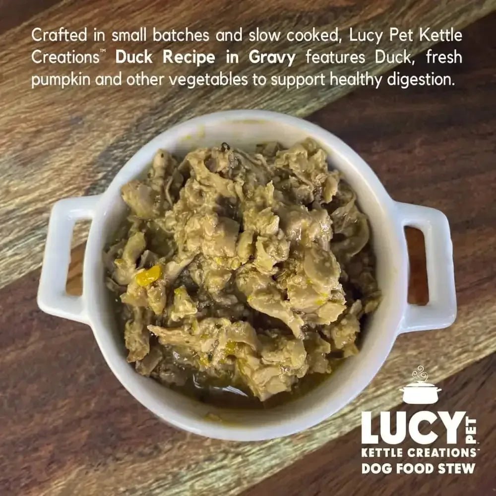 Lucy Pet Products Kettle Creations Recipe in Gravy Wet Dog Food 12ea/12.5 oz - Talis Us