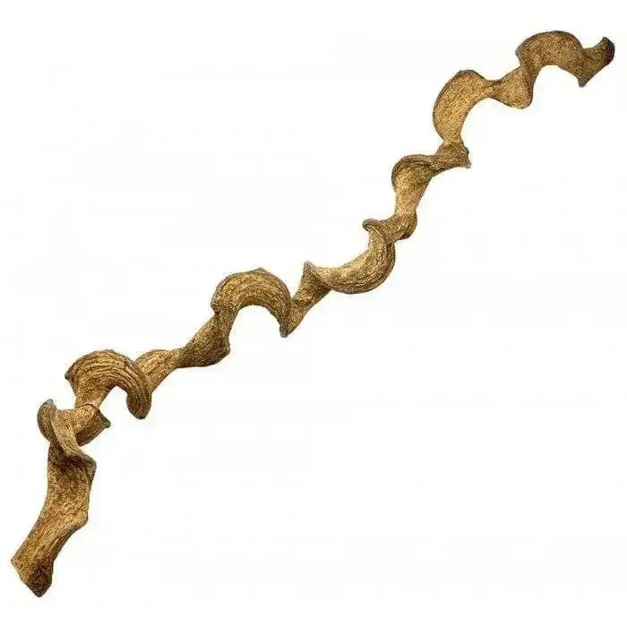 Lugarti’s Dragon Wood - Talis Us