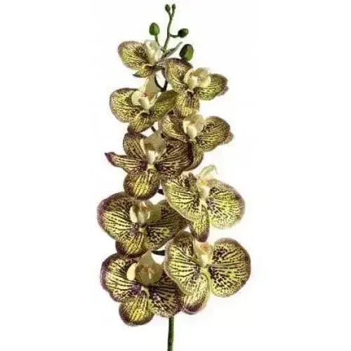 Lugarti's Moth Orchids Reptile Décor - Talis Us