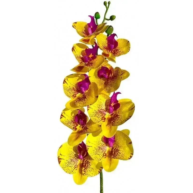 Lugarti's Moth Orchids Reptile Décor - Talis Us