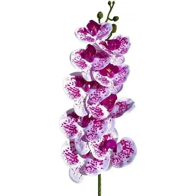 Lugarti's Moth Orchids Reptile Décor - Talis Us