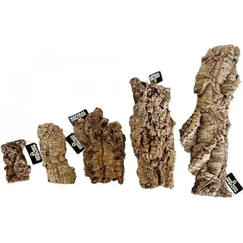 Lugarti’s Natural Cork Bark Flat Reptile Hideout - Talis Us