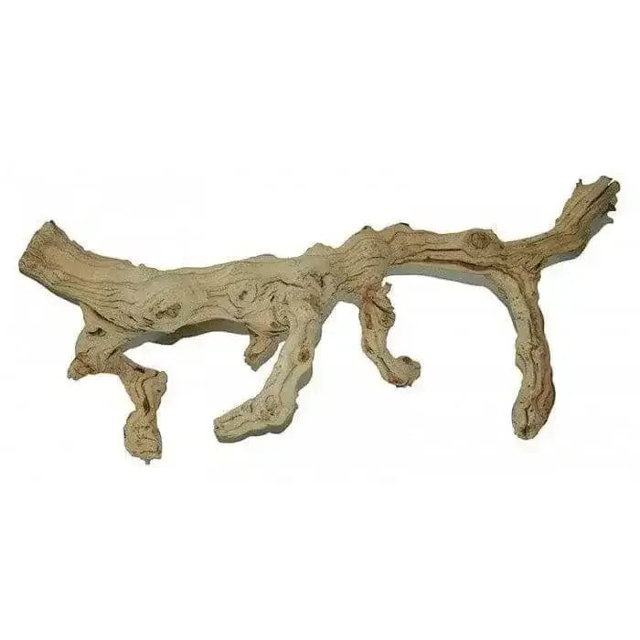 Lugarti’s Premium Grapevine - Talis Us