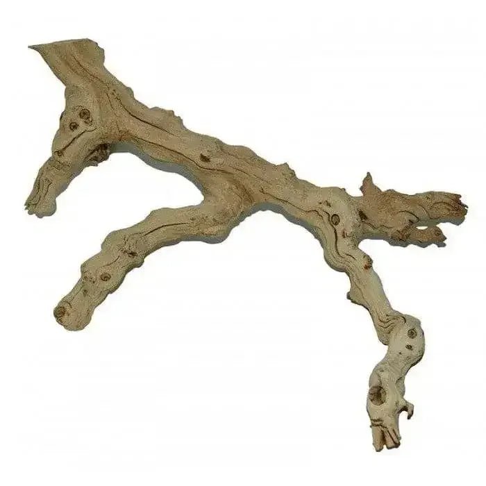 Lugarti’s Premium Grapevine - Talis Us