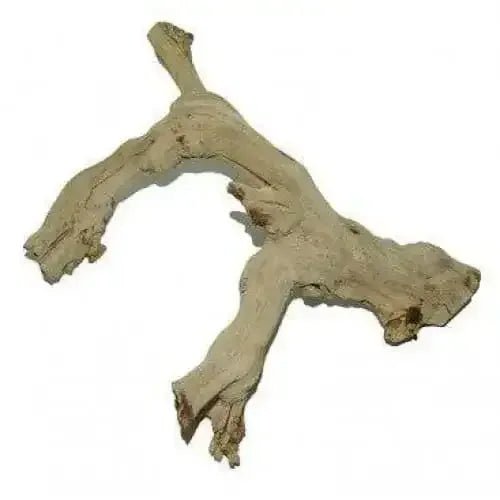 Lugarti’s Premium Grapevine - Talis Us