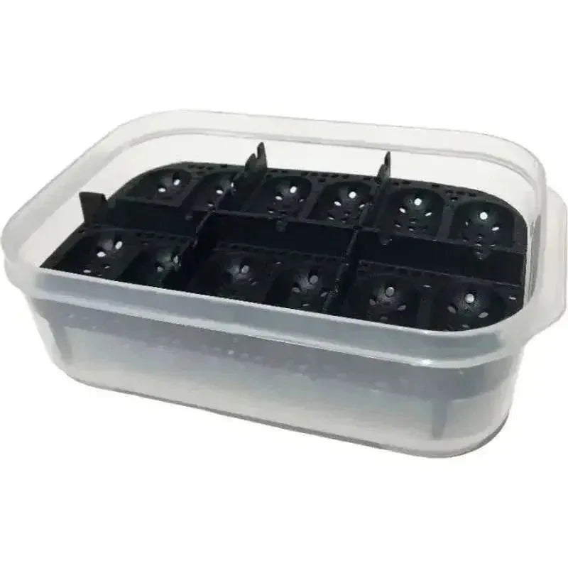 Lugarti’s Reptile Egg Incubation Containers - Talis Us