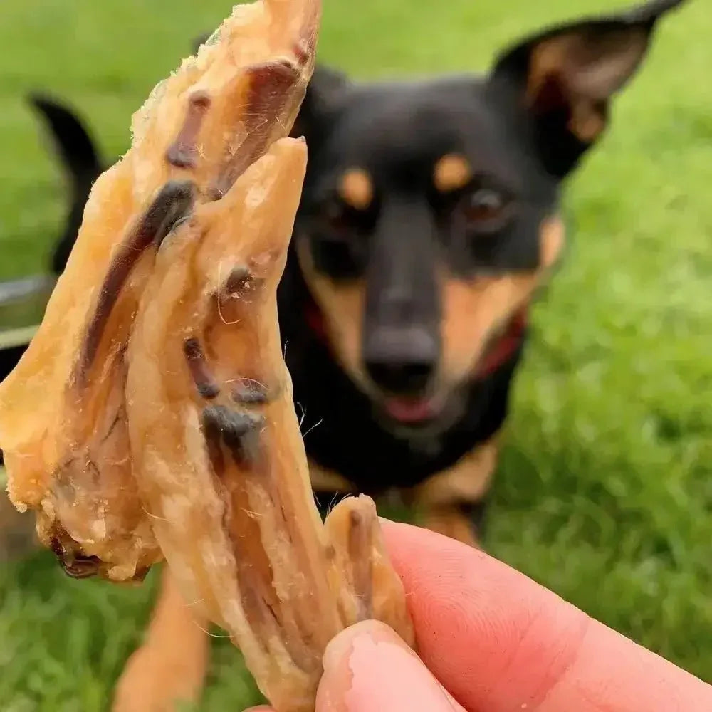 Lulu's Kitchen Flap Ya Wings Chicken Wing Bites Dog Treats - Talis Us