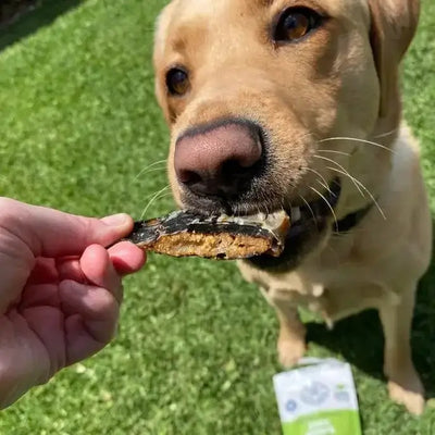 Lulu's Kitchen Make It Snappy Croc Jerky - Talis Us