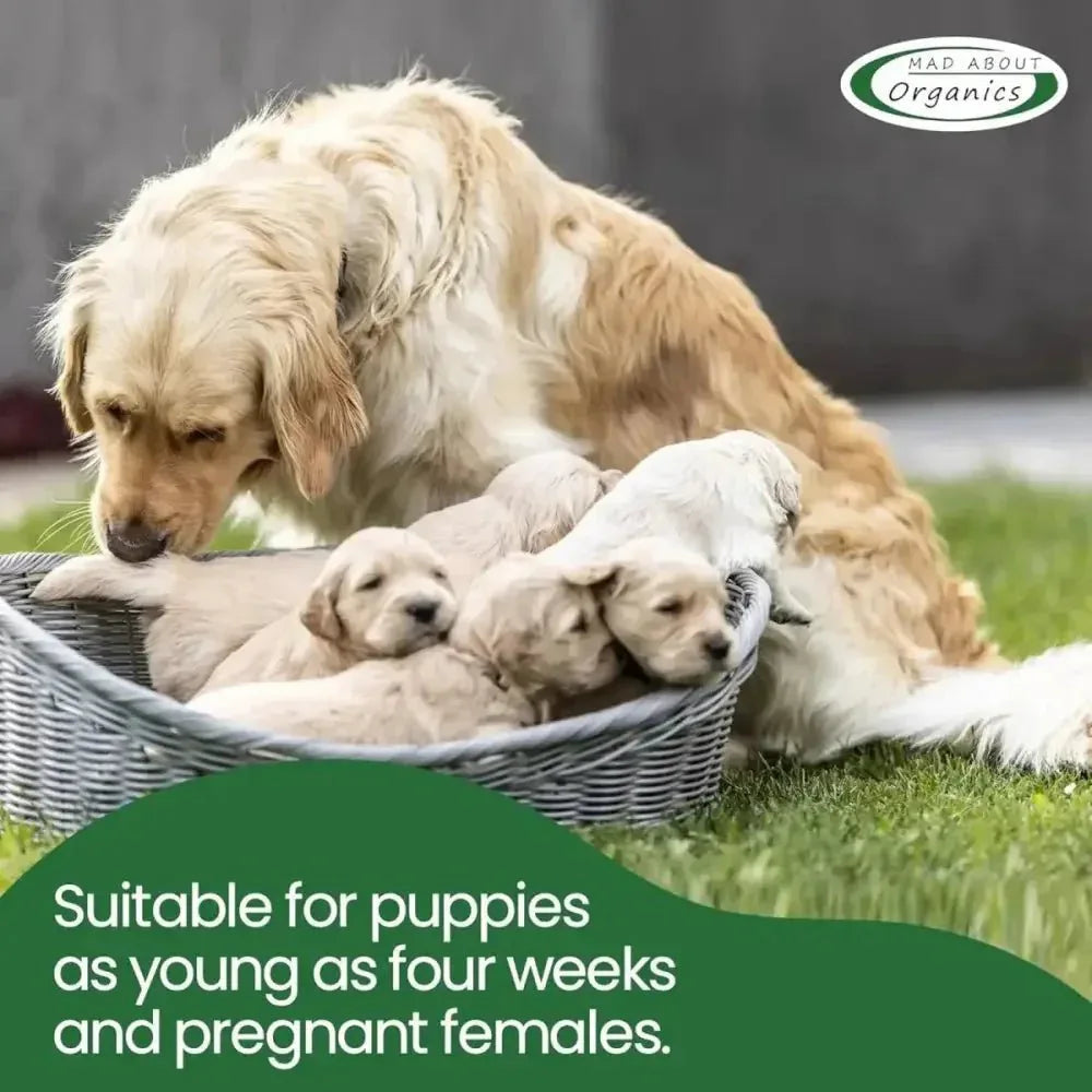 Mad About Organics Detangler Spray - Knot - Free Coats Made Easy 8oz - Talis Us