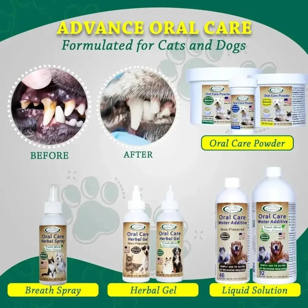 Mad About Organics Oral Care Spray - Fresh Mint Formula - Talis Us