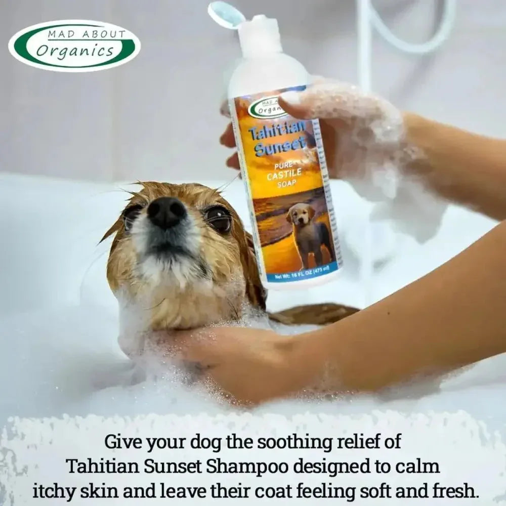 Mad About Organics Tahitian Sunset Dog Shampoo 16oz - Talis Us