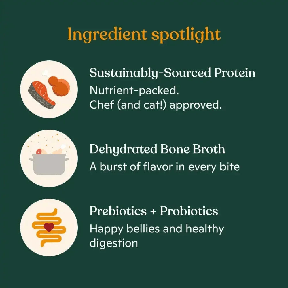 Made by Nacho Bone Broth Infused Sustainably Caught Salmon & Pumpkin Recipe Dry Cat Food - Talis Us