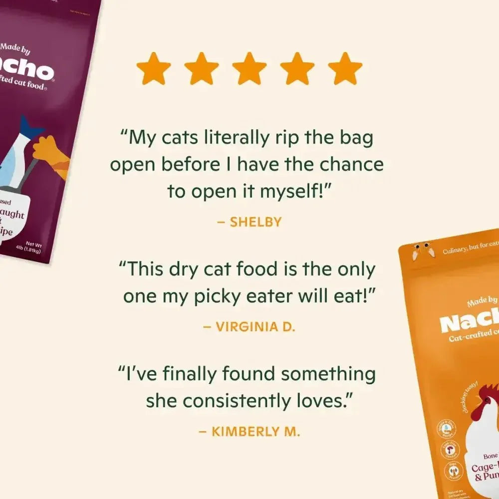 Made by Nacho Bone Broth Infused Sustainably Caught Salmon & Pumpkin Recipe Dry Cat Food - Talis Us