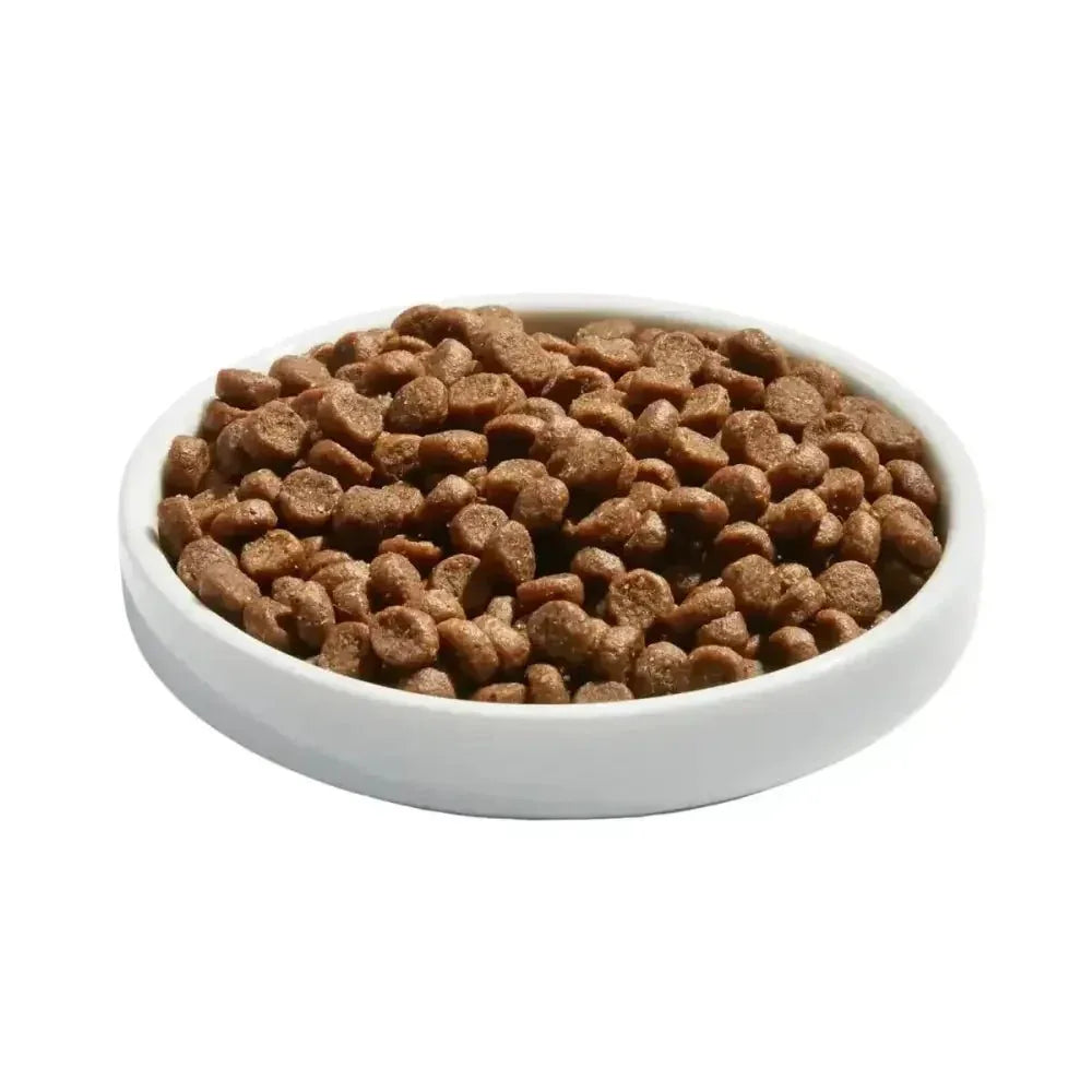 Made by Nacho Cage - Free Chicken, Chicken Liver & Bone Broth Recipe Kittens Dry Cat Food - Talis Us