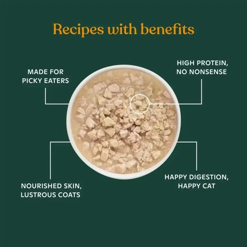 Made by Nacho Cage Free Minced Chicken Recipe With Bone Broth Wet Cat Food 10 / 2.5 oz - Talis Us