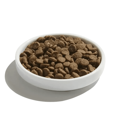 Made by Nacho Digestive Support Cage - Free Turkey & Pumpkin Recipe Dry Cat Food - Talis Us