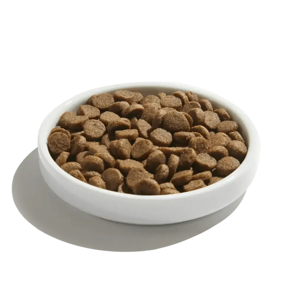 Made by Nacho Bone Broth Infused Cage - Free Chicken & Pumpkin Recipe Dry Cat Food - Talis Us