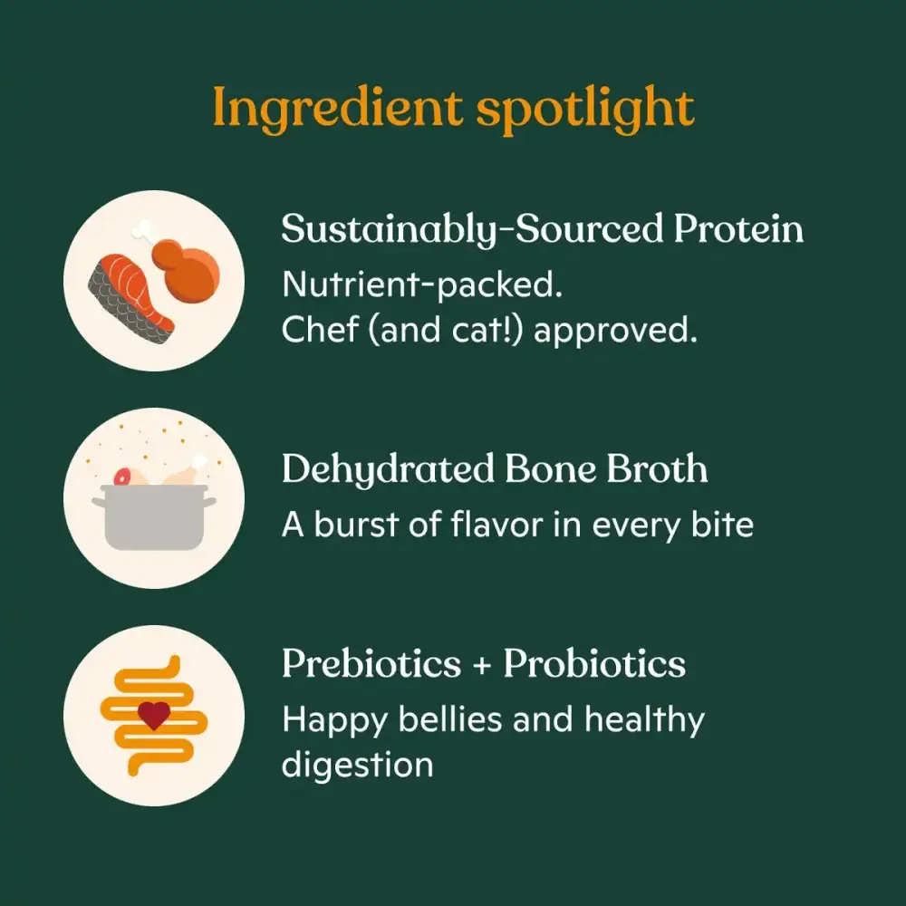 Made by Nacho Bone Broth Infused Sustainably Caught Salmon & Pumpkin Recipe Dry Cat Food - Talis Us