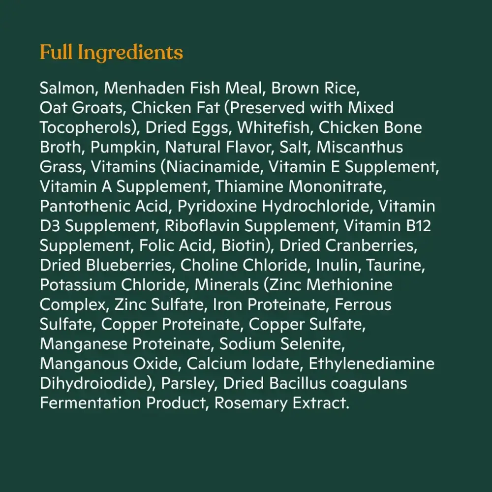 Made by Nacho Bone Broth Infused Sustainably Caught Salmon & Pumpkin Recipe Dry Cat Food - Talis Us