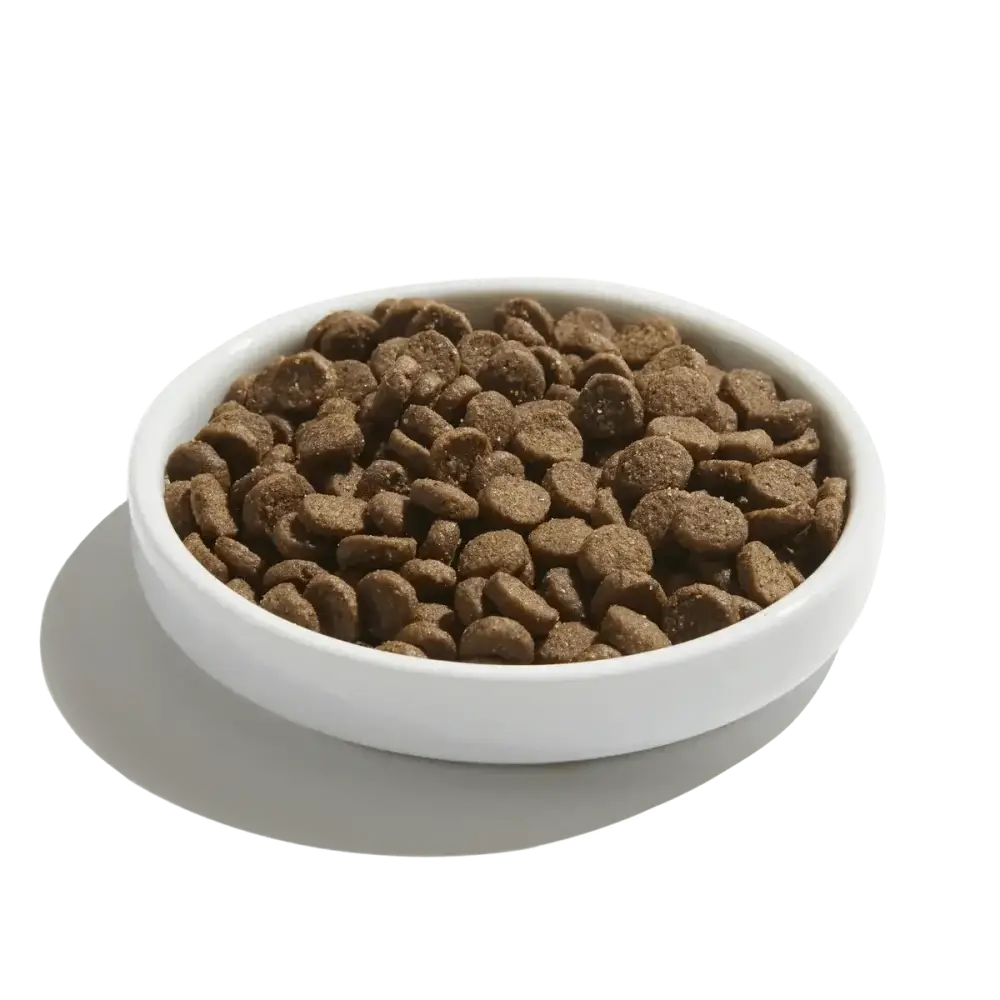 Made by Nacho Digestive Support Cage - Free Turkey & Pumpkin Recipe Dry Cat Food - Talis Us