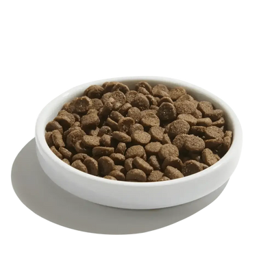 Made by Nacho Digestive Support Cage - Free Turkey & Pumpkin Recipe Dry Cat Food - Talis Us