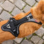 Magnetic Belka Comfort Dog Harness Adjustable Reflective Vest for Larger Dogs Curli