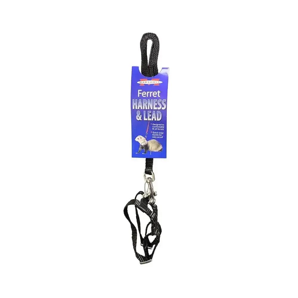 Marshall® Harness & Lead Set for Ferret Black - Talis Us