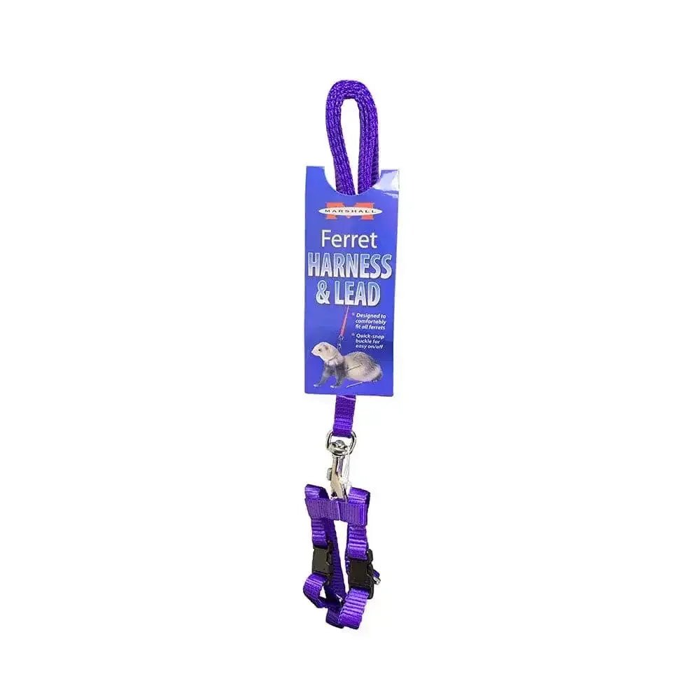 Marshall® Harness & Lead Set for Ferret Purple - Talis Us